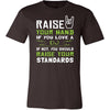 DJ Shirt - Raise your hand if you love DJ, if not raise your standards - Profession Gift-T-shirt-Teelime | shirts-hoodies-mugs