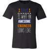 Engineer Shirt - This is what an awesome Engineer looks like - Profession Gift-T-shirt-Teelime | shirts-hoodies-mugs