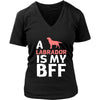 Labrador Shirt - a Labrador is my bff- Dog Lover Gift-T-shirt-Teelime | shirts-hoodies-mugs