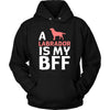 Labrador Shirt - a Labrador is my bff- Dog Lover Gift-T-shirt-Teelime | shirts-hoodies-mugs