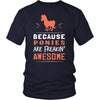 Pony Shirt - Freakin' Awesome - Animal Lover Gift-T-shirt-Teelime | shirts-hoodies-mugs