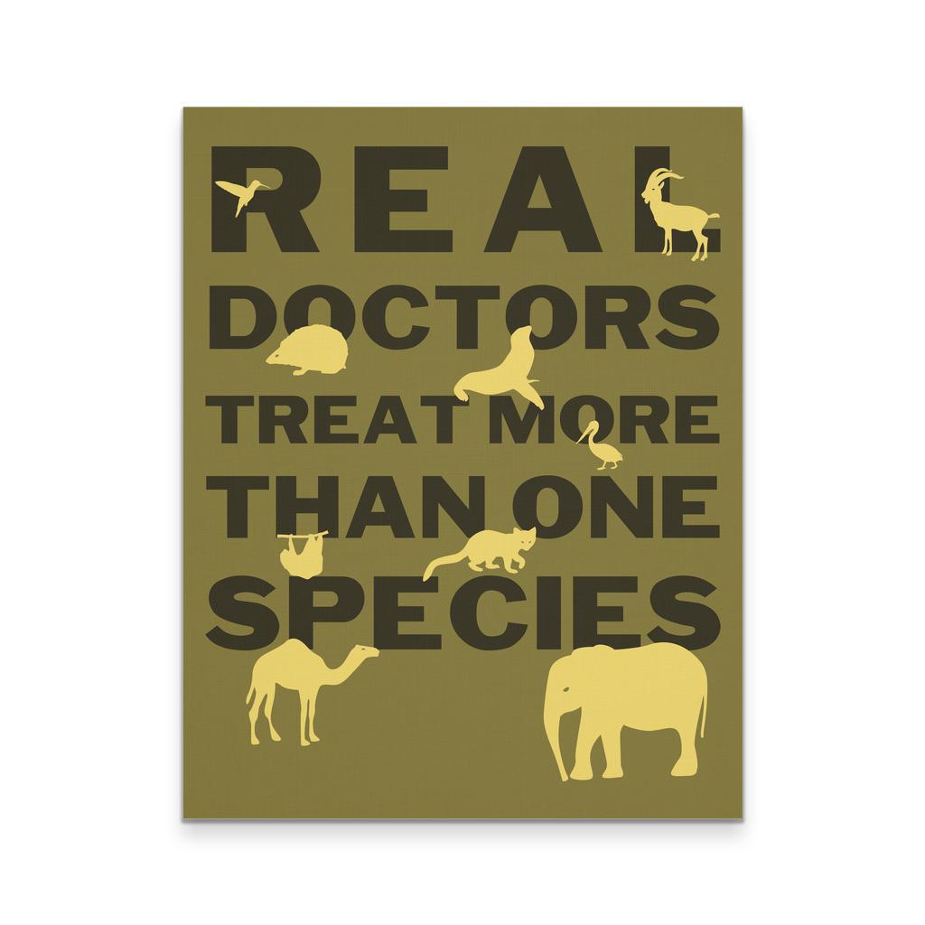 Veterinary Canvas - Real Doctors Treat more than one species-Canvas Wall Art-Teelime | shirts-hoodies-mugs
