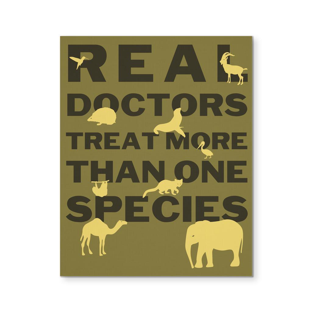 Veterinary Canvas - Real Doctors Treat more than one species-Canvas Wall Art-Teelime | shirts-hoodies-mugs